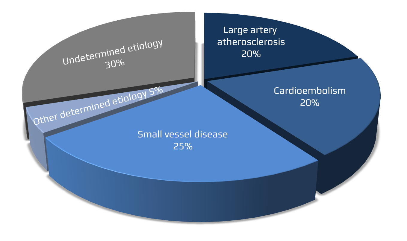TOAST classification of stroke etiology