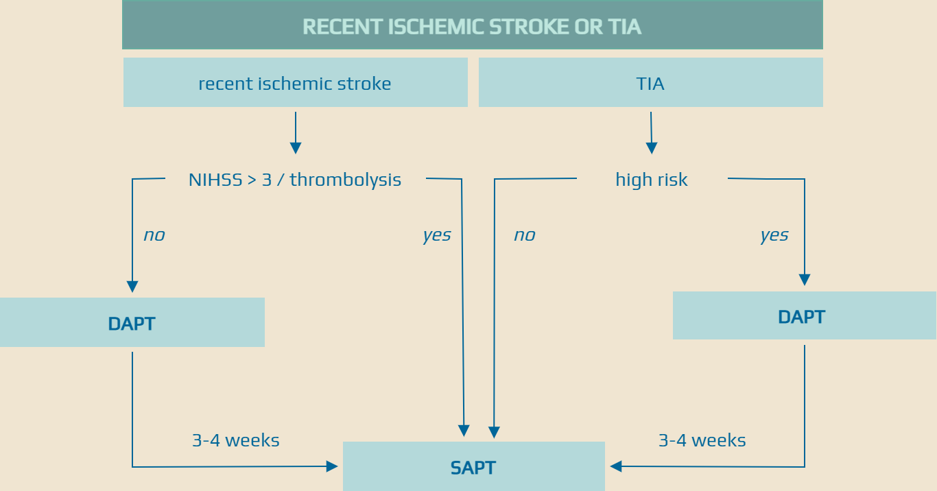 Antiplatelet therapy in an acute stroke and TIA