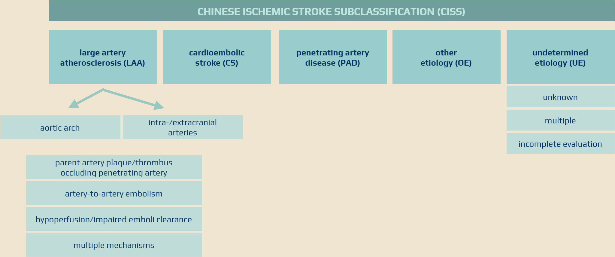 Chinese Ischemic Stroke Subclassification (CISS)