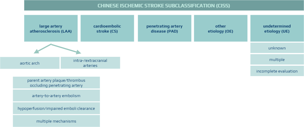 Chinese ischemic stroke classification (CISS)