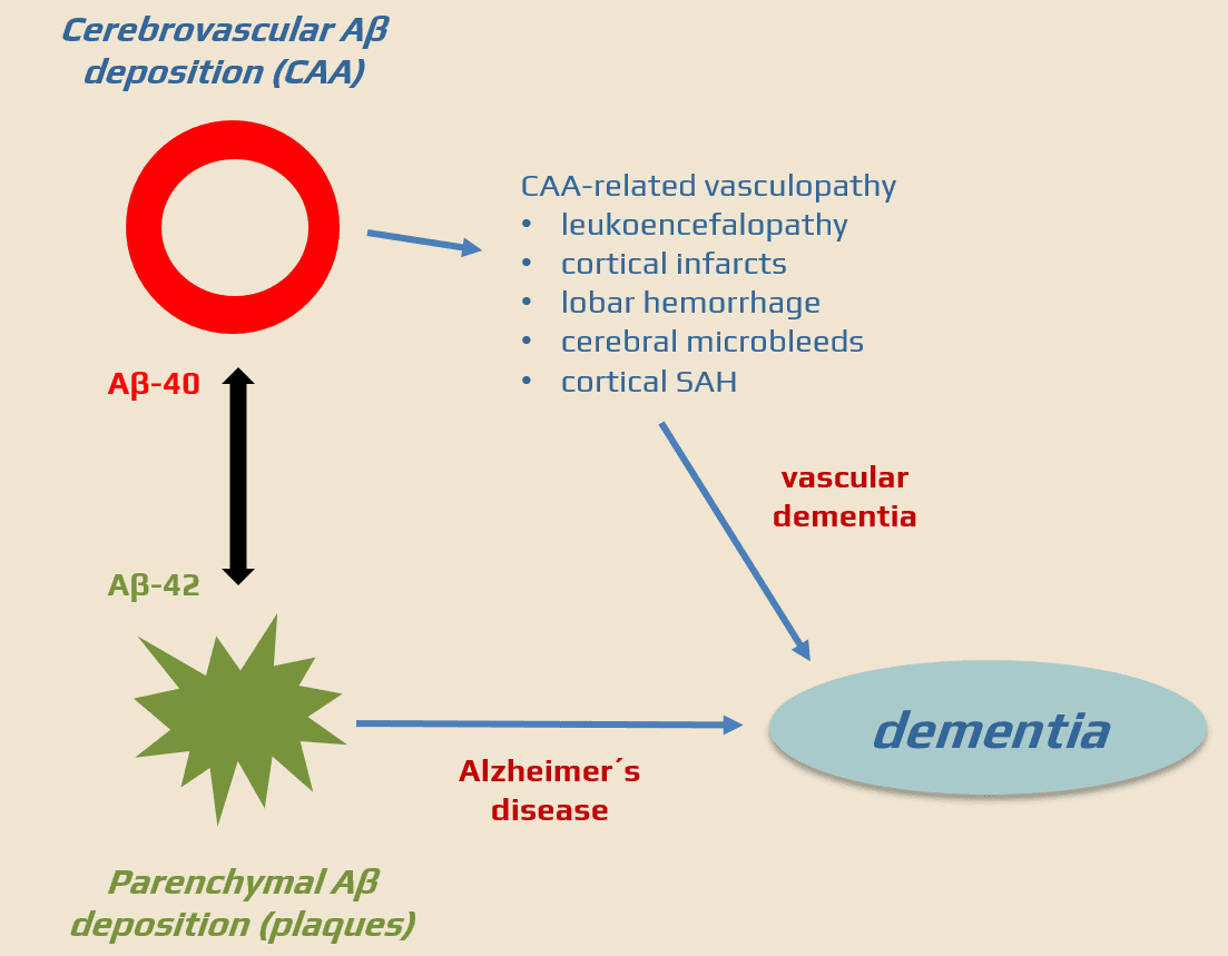 Cerebral amyloid angiopathy (CAA)